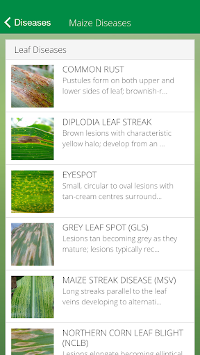 PANNAR Sprout Screen 3