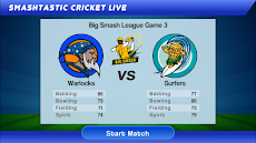 Smashtastic Cricketのおすすめ画像4