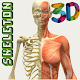 Human Skeleton 3D ( Anatomy ) विंडोज़ पर डाउनलोड करें