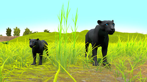 Black Panther Simulator Games Screen 2