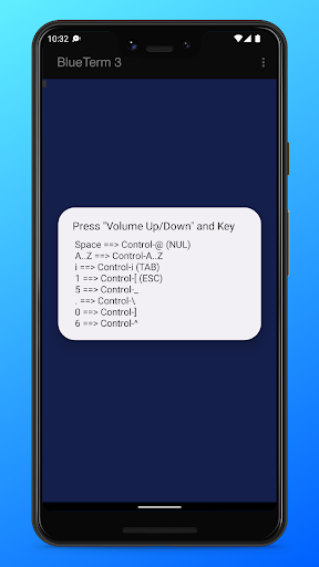 BlueTerm 3 Screen 3