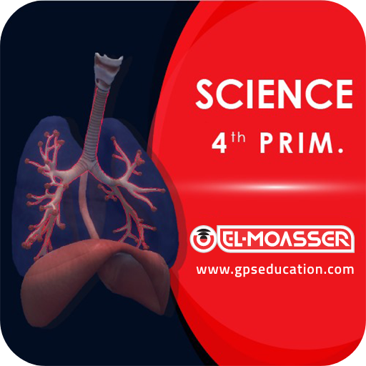 Respiratory System logo