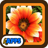 Roses and Flowers Tile Puzzle icon