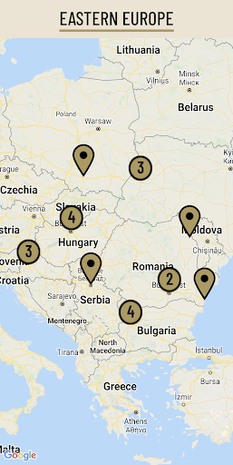 European Fascist Movements Screen 3