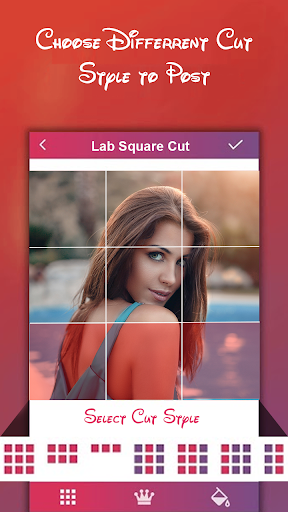 LabSquare Cut - 9 Cut  Grid Photo