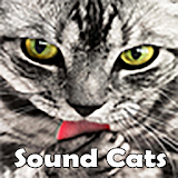 Cat Sounds icon