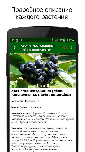 Лекарственные растения Screen 2