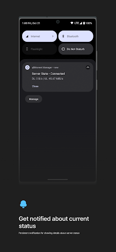 qBittorrent Manager Screen 3