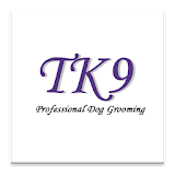 TK9 icon