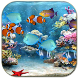 Tropical fishes aquarium icon