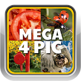 Mega 4 Pic 1 Word Quiz icon