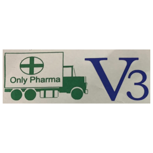 V3 Express Cargo logo