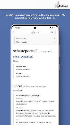 Dn Dictionair Screen 3