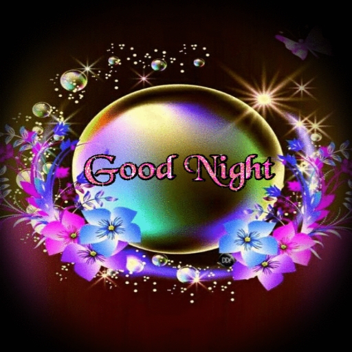 good night gif images Download on Windows