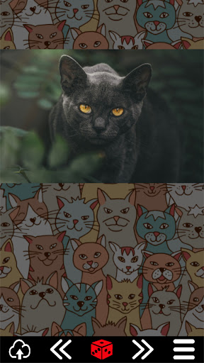 Android application Cat.alogue screenshort