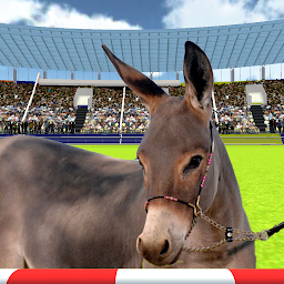 Icon image Jumping Donkeys Champions-Donkey Racing Simulator