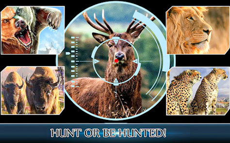 Deer Hunter Wild animal Jungle 0.9 APK + Мод (Unlimited money) за Android