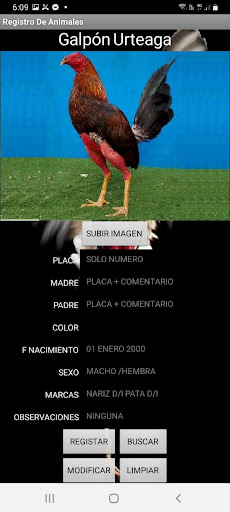 Registro De Crianza De Gallos Screen 2