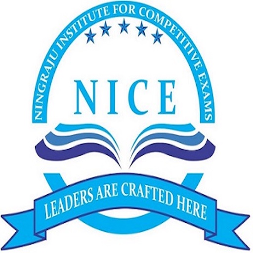 NICE Academy Haveri logo