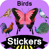 Birds Stickers