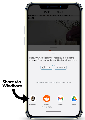 Windborn - Reddit Share & Copy Screenshot