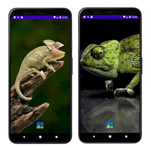 Android application Fondos de Camaleón screenshort
