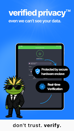 VP.NET VPN screenshot 12