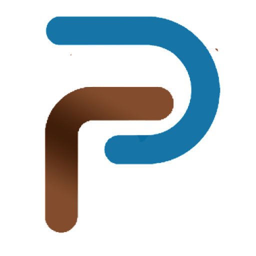 Promys 5.0 logo