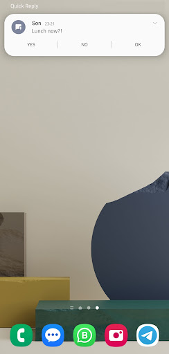 Quick Reply Screen 3