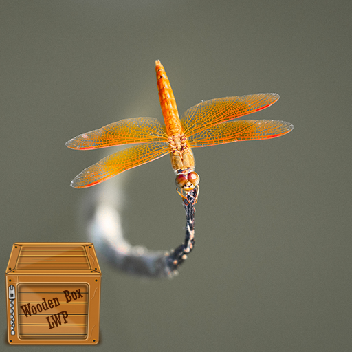 dragonfly wallpaper logo
