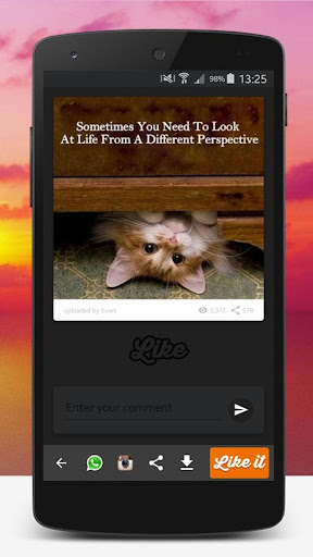 Quotes Videos & Pictures screenshot 5