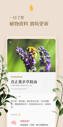 芳香索引 | 精油用家的芳療資料庫 Aroma Index Screen 2