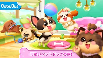 Game screenshot パンダゲーム：ペットドッグライフ mod apk