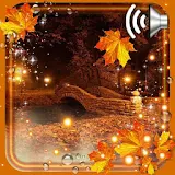 Autumn Twinkle Lights icon