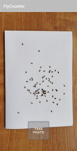 FlyCounter Screen 2