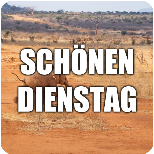 Schönen Dienstag Bilder logo