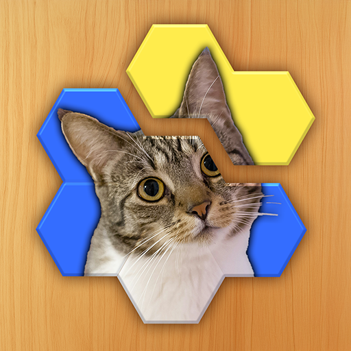 JigSnap Download on Windows
