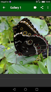 ಸ್ಕ್ರೀನ್‌ಶಾಟ್ ಚಿತ್ರ