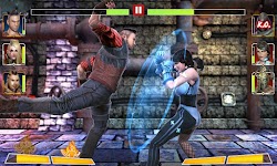 screenshot of Champion Fight 3D
