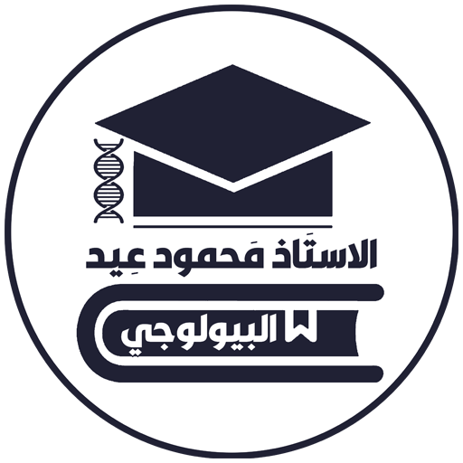 Bio Mahmoud eid