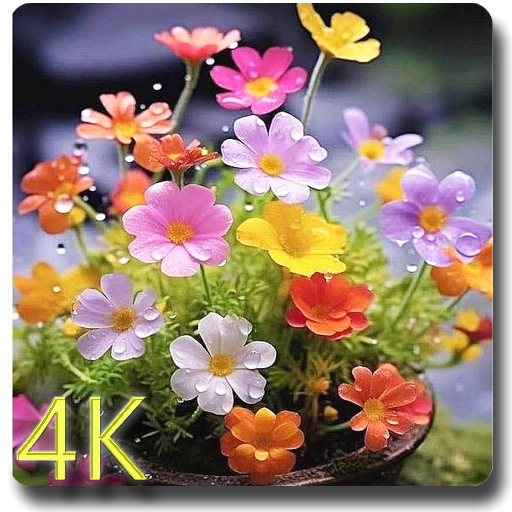 Flowers Wallpapers 2024 4K logo