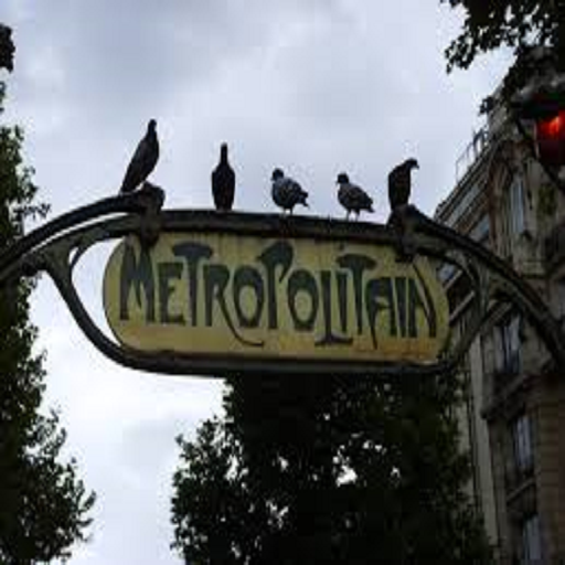 Straßenkarte von Paris Auf Windows herunterladen