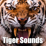 Tiger Sounds icon