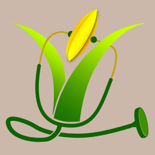 Rice Doctor Assam logo