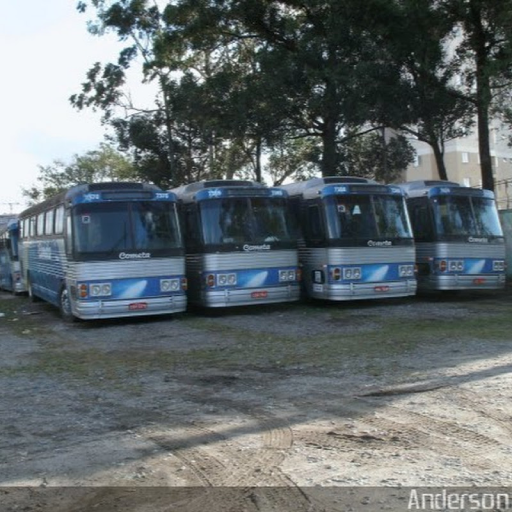 Clube do Ônibus Antigo logo