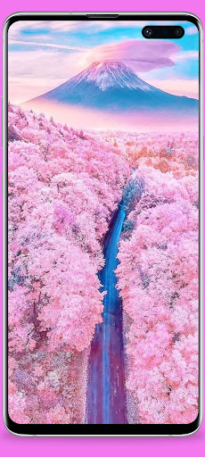 Pink wallpaper Screen 2