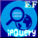 IP Query icon