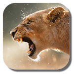 Cover Image of Download Lion Live Wallpaper 1.4 APK