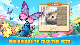 Game screenshot Bingo:  Free the Pets apk download