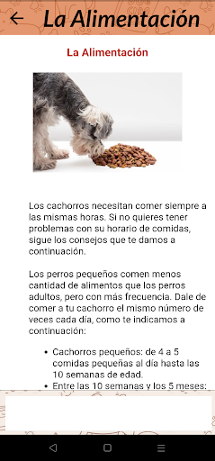 Entrena a tu Mascota Screen 2